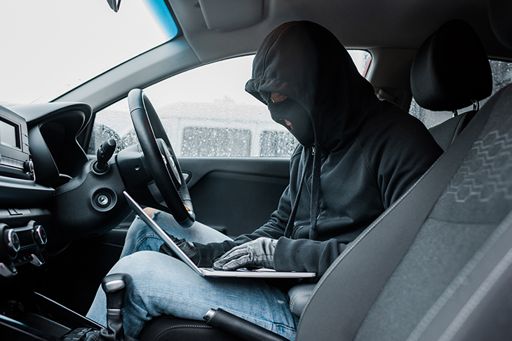 cars-are-most-at-risk-theft-thief-at-workjpg